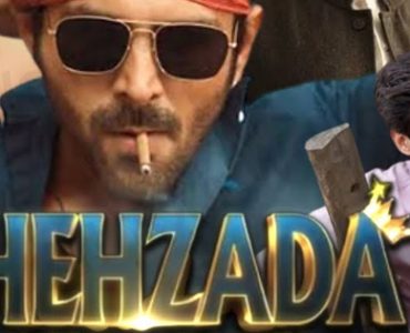 Shehzada Movie (2023) | Story and Budget